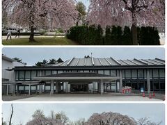 もりおか歴史文化館のお庭の枝垂れ桜もみごとでした

岩手県には枝垂れ桜が多いのかな
関東では時々１本だけとか、あまり見ないような気がします