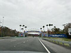 オーランドの滞在予定は1日だけなので、ディズニー・パークひとつをとっても、山手線の内側２つ分とされる広大な敷地のワールドを全て周り切るのは不可能です。