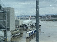 13：25福岡空港到着