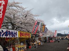 桜まつり開催中です。
桜並木第2駐車場近くで屋台が出店していました。
夜は川堤、武家屋敷通りとライトアップするそうです。