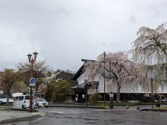 朝8時半に東京を出て角館駅に正午前に到着
（往復とも電車すれ違い待ちで遅れが生じたのでギリギリの計画は注意）
角館に来るのは約20年ぶり
ロータリー周辺にも桜が咲いていて、テンション上がる
駅前のロータリーは一部記憶にあるものの、やはり綺麗に整備されていた。
