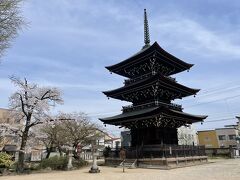 飛騨国分寺を訪問です。三重塔と桜が調和して美しかったです。