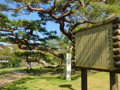 嬉野川沿いです　桜の木もあります