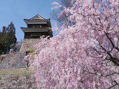 しだれ桜に上田城です