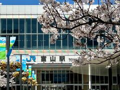 車窓から、立山連峰を見ながらあっという間につきました。
途中の富山城の桜も綺麗でしたね