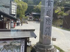 青蓮院跡通過。秋に行ったかな？