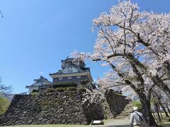 最初の目的地、越前大野城です。北陸は桜がまだきれいな状態で咲いています。