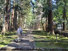 ここは恐竜博物館の近くの平泉寺白山神社です