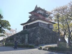 白山神社から３０分くらいで丸岡城にやってきました。現存天守閣の１２個の内の一つです。桜まつりが開催中でした