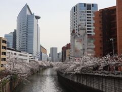 目黒新橋（目黒通り）から下流をパチリ