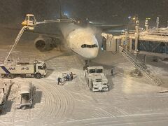 展望デッキから見ると、、ものすごい雪～～～！
懸命に除雪していますがどんどん降り積もっていく雪。
こんなことならエアポートホテルにすれば良かった・・
そう思ってても仕方ない、千歳駅に向かいます。