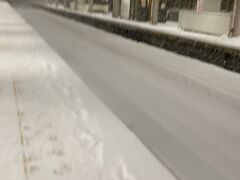 何の雪対策もしてこなかった私。

千歳駅の雪の量に愕然とします('_')
