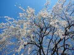 【清雲寺】清雲寺の境内に入りました。