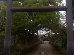 　柳澤神社を訪問。
　柳澤神社は旧藩士等の手によって明治13年創立され、祭神は五代将軍綱吉の側用人柳澤吉保である神社です。
　吉保公は川越甲府城主となり、御子吉里公が国替で甲府より転じ、十五万石をもって郡山城に入城しました。以来六代140年に及び明治維新までこの地を治め、繁栄へと導きました。