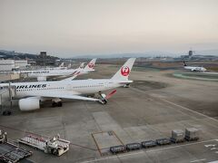 福岡空港 国内線展望デッキ