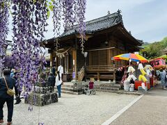 素戔嗚神社にて

不死身の祈願♪