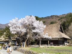 世界遺産白川郷合掌造り集落