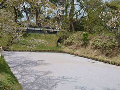 まず、外濠の市民会館口そばの花筏。
上の地図では「A」地点です。
風に寄せられ満杯でした。
この近くに藤田記念庭園があります。