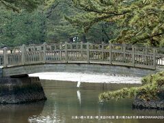 津田の松原 琴林公園