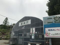 いちご農園！
朝どれタケノコもあるらしい。