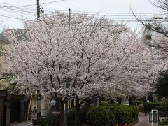 駒繋公園