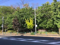 府中の森公園でスタンプを取得後、府中市美術館を経由して、浅間山公園へ。
そこから武蔵野の森公園まで歩き、スタンプを取得して、飛田給駅へ。
