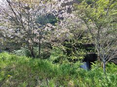 渋滞もなく、あっという間に大山につきました。