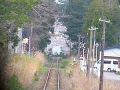 芦野公園駅に向かうと、前方にどんどん「桜のトンネル」が見えてきました。