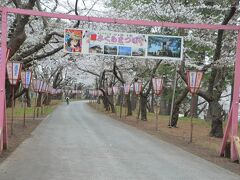 芦野公園のさくらまつり。生憎この翌20日からだったので露店も準備中だし津軽鉄道の臨時列車も運転されていませんでした。
寒かったので滞在1時間で十分でした。