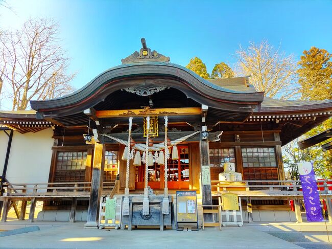 ホテルで部屋呑み 2023．12．04 函館国際ホテル | アラ