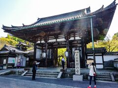 日差しがきつく、日陰を探して歩きやっと石山寺に到着。