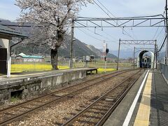 轟駅に戻ってきました

この駅は桜と菜の花の他に遠く向こうに雪山も見えて景色のいい場所でした