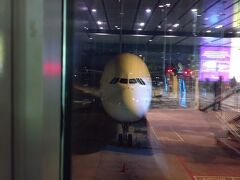 A380も駐機してました。
デカくて憧れるし一度乗ってみたいけど、正面から見ると案外面長のデコっぱちで笑ってしまいます。