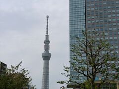 駅北口を出て右斜め前にある錦糸公園を通るとさらにショートカット。都心で駅近にしては大きな公園（といっても200m四方くらい）で、サンシェードとか持ち込んだ多くの家族連れが楽しんでいました。

山手線の東側に来ることはめったにないので、スカイツリーが物珍しく思わず撮ってしまいます(^_^;)