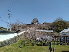 愛媛の小京都といわれる川の町大洲に移動しました。私がよく仕事で立ち寄った頃（約40年以上前）にはなかったお城ができていました。