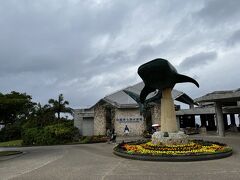 今日は美ら海水族館へ行くぞー！
Yahooトラベルの予約特典でチケットつきでした( ^ω^ )
バスに乗って移動します。