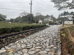 道好きの同行者の希望で、旧東海道の石畳も見に行きました。