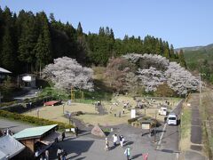 臥龍公園全景