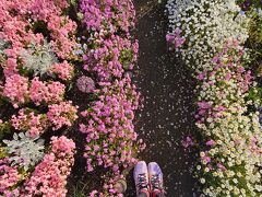 花壇にはかわいいお花がたくさん！！
シューズと色が合ってる( ´∀｀ )