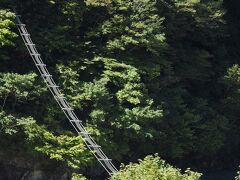 猿専用の吊橋

宇奈月ダムの建設によって黒部川両岸を行き来出来なくなり人里の農作物を荒らすようになったニホンザルの行動域を以前の状態に戻すために2004年に架けられた橋です。


猿専用の吊橋：https://www.jsce.or.jp/journal/student/fushigi/201910.pdf
黒部川：https://geoshape.ex.nii.ac.jp/river/resource/840406/8404060001/
黒部川：https://ja.wikipedia.org/wiki/%E9%BB%92%E9%83%A8%E5%B7%9D
ニホンザル：https://ja.wikipedia.org/wiki/%E3%83%8B%E3%83%9B%E3%83%B3%E3%82%B6%E3%83%AB