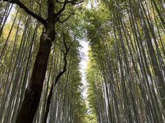 竹林の小径。
とにかくすごい人でしたが、上を向くと別空間。
静寂すら感じました。
