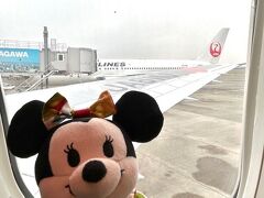 おはようございます。
これまた朝早くの羽田空港です。

本日のお供はミニ―さん。
せっかく金沢と高山という古都を巡るので、お着物を作って着せてあげましたわよ、オホホ。