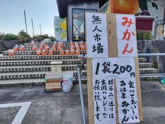 毎回同じ、国道42号をのんびり南下。

一年中みかんの収穫ができる町、御浜町の「道の駅　パーク七里御浜」で休憩。
入口のみかんの無人販売所は、丸ごと1個試食可。