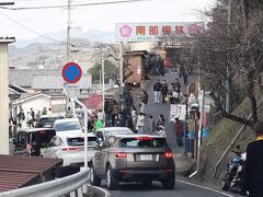 南部梅林は、駐車場の手前で大渋滞。
連休の中日の昼とあって、多くの人でごった返している様子。

駐車場にもなかなか入れないので、梅まつりは諦めて・・