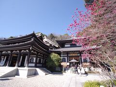 鶴岡八幡宮のあとは長谷寺へ。
ここも定番の観光地ですね。晴れていたので海もきれいに見えました。