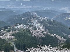 花矢倉展望台からは金峰山寺が見えます
まるで桜の洪水の上を金峰山寺がぷかぷか浮いているよう
(6:13)