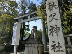 今宮神社から歩いて10分位の秩父神社へ。ここは秩父三社の一つで天正20年に徳川家康が寄進したといわれる御本殿があります。埼玉の有形文化財。