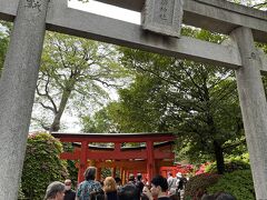 根津神社の境内にある乙女稲荷神社の鳥居。

稲荷神社につづく参道の千本鳥居が、京都の伏見稲荷のミニ版のようで外国の方々の大人気でした。