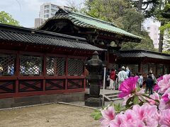 根津神社の唐門とつつじ。