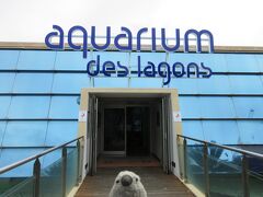 午後は歩いてラグーン水族館へ。

入場料はXPF1600とちょっとお高め。チケットはオンラインでも購入することができます。